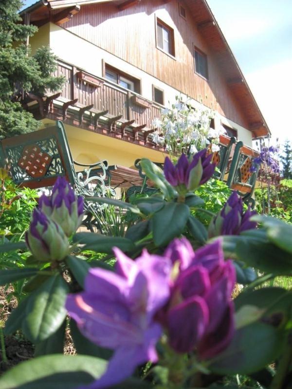 Dedesi Vendeghaz Zalaloevo Hotel Exterior photo