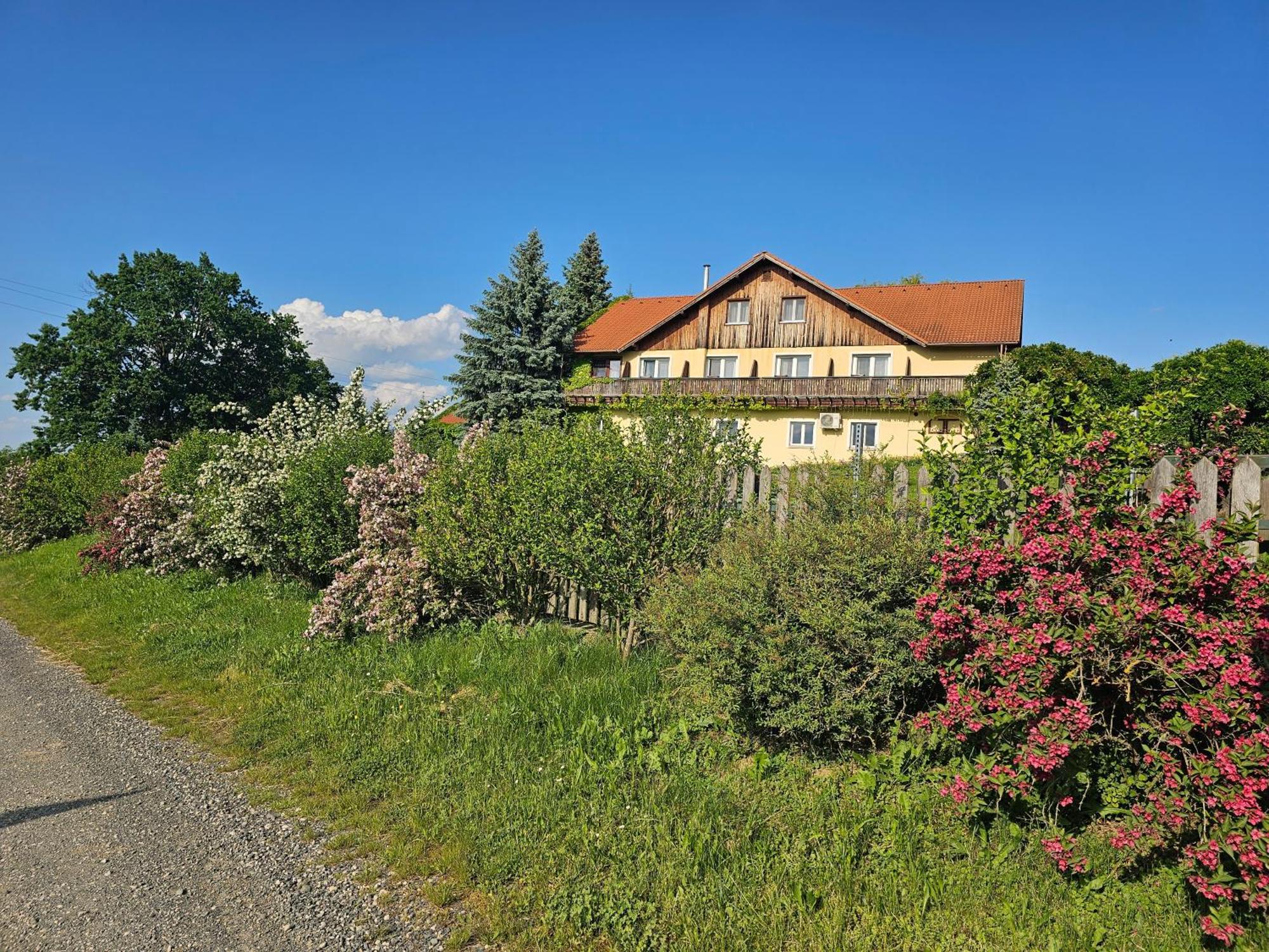 Dedesi Vendeghaz Zalaloevo Hotel Exterior photo