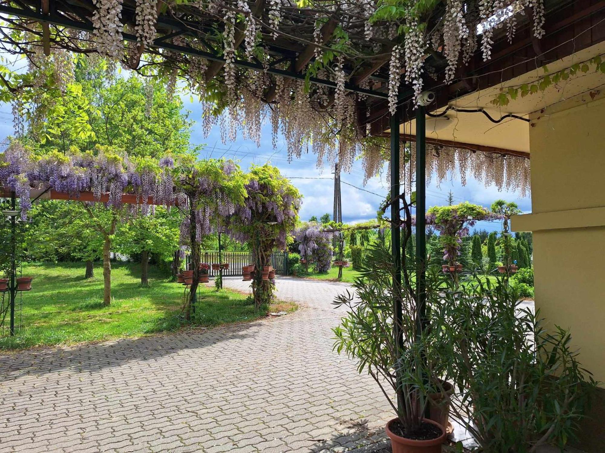 Dedesi Vendeghaz Zalaloevo Hotel Exterior photo